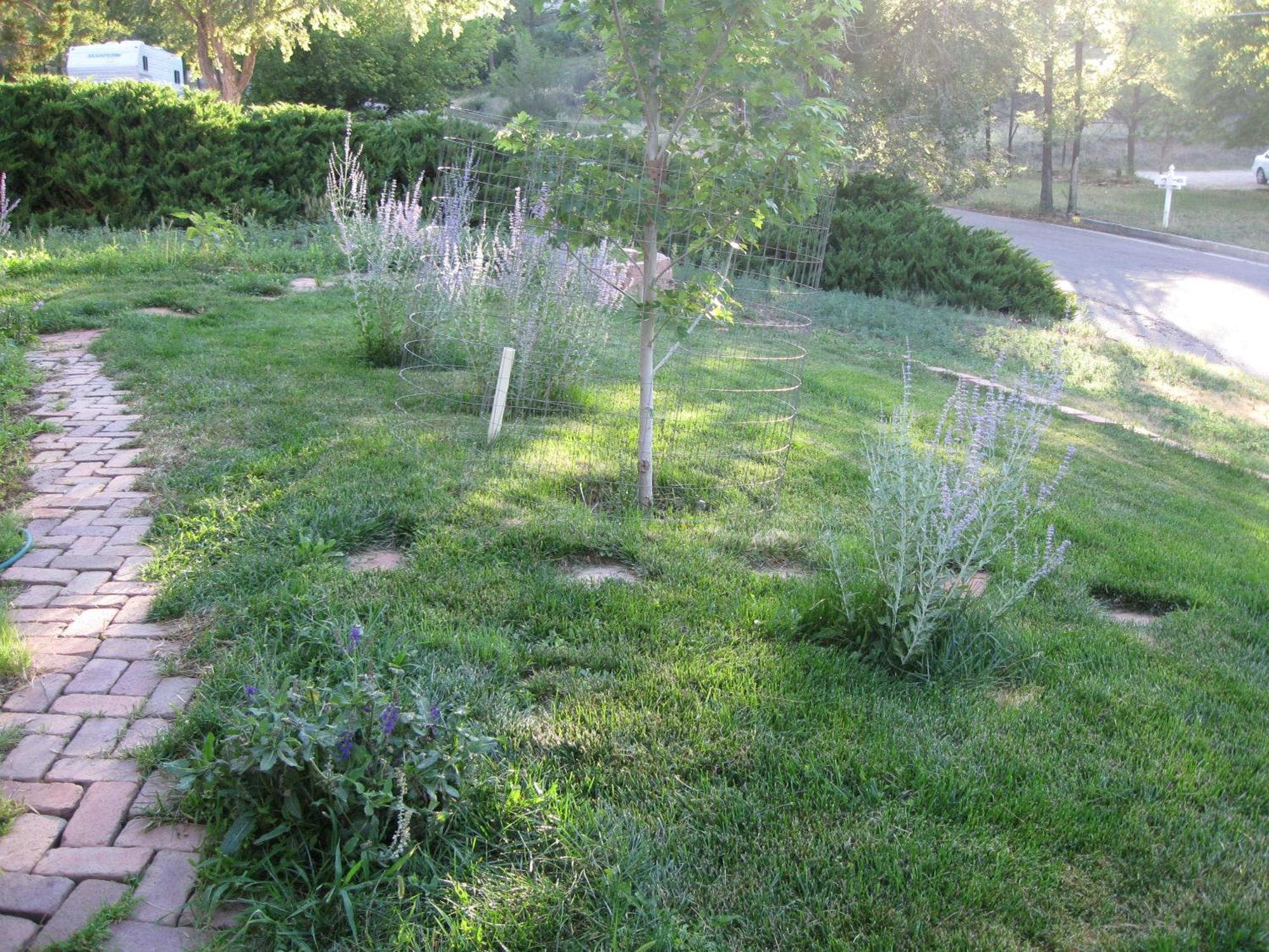 Mystic Portal 420 Guesthouse Colorado Springs Luaran gambar